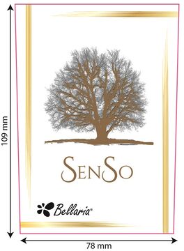 Senso