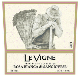 Rosa Bianca