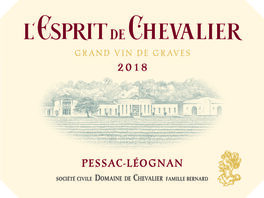 L'esprit De Chevalier