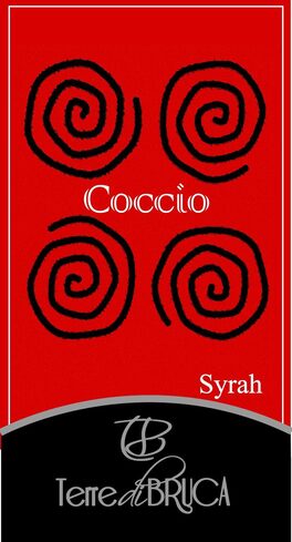 Coccio