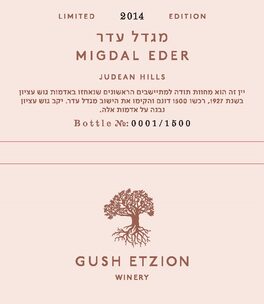 Migdal Eder