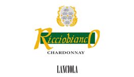 Riccio Bianco