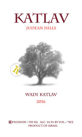 Wadi