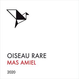Oiseau Rare