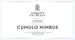 Cumulo Nimbus
