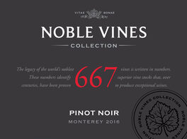 667 Cellar Reserve