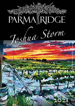 Joshua Storm