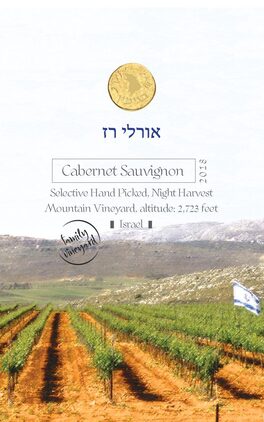 Orly Raz (In Hebrew)