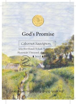 God's Promise
