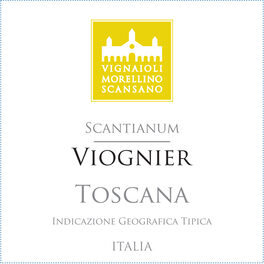 Scantianum