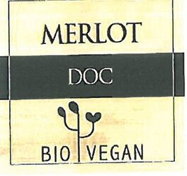 Bio