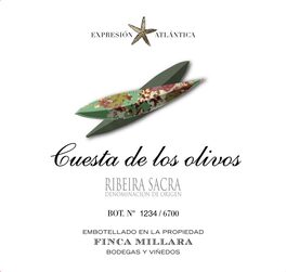 Cuesta De Los Olivos