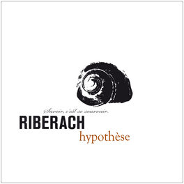 Hypothese