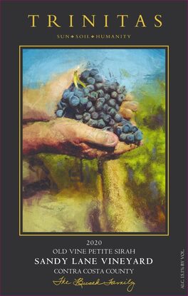 Sandy Lane Vineyard