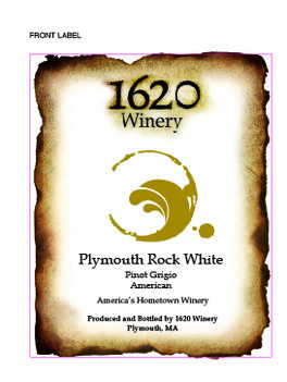 Plymouth Rock White