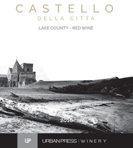 Castello Della Citta