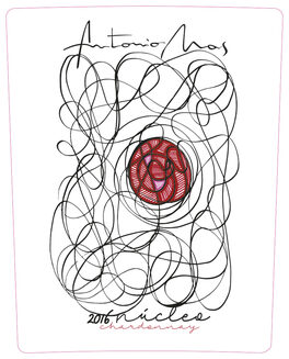 Nucleo