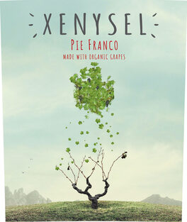 Xenysel Pie Franco