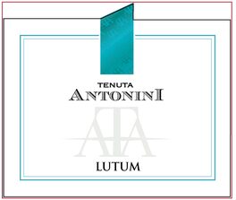 Lutum