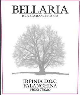 Falanghina