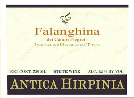 Falanghina Dei Campi Flegrei