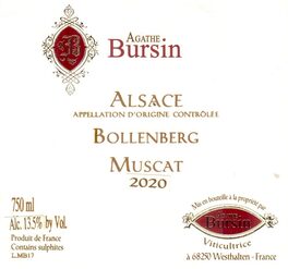 Bollenberg