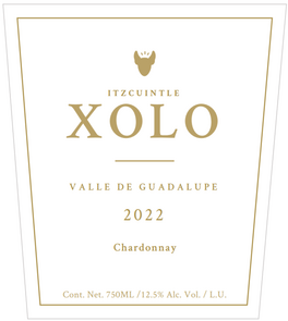 Chardonnay Itzcuintle Xolo