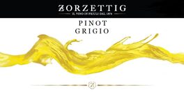 Il Vino In Friuli Pinot Grigio