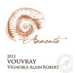 Ammonite