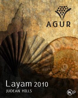 Layam