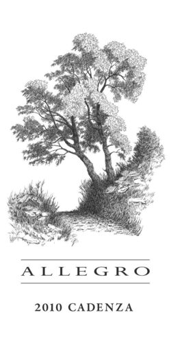 Cadenza