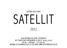 Satellit