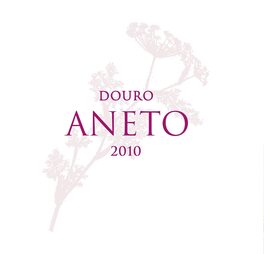 Aneto To The Surgeon