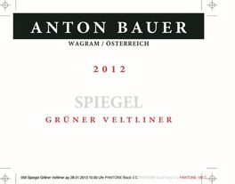 Spiegel