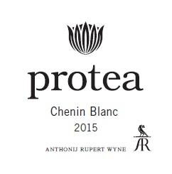 Protea