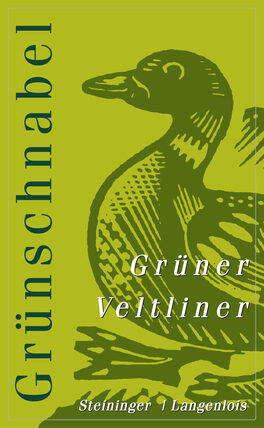 Grünschnabel