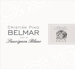 Cristian Pino Belmar