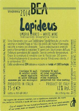 Lapideus