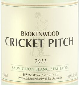 Cricket Pitch