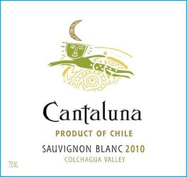 Sauvignon Blanc
