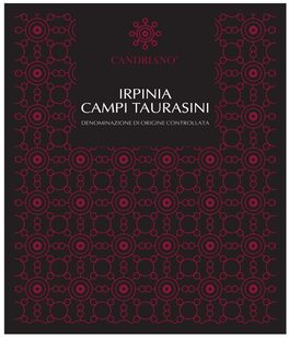 Campi Taurasini