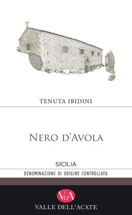 Case Ibidini