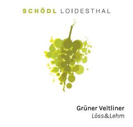 Loss & Lehm