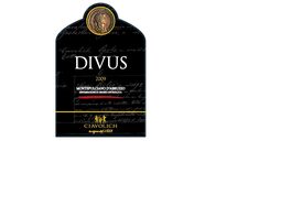 Divus