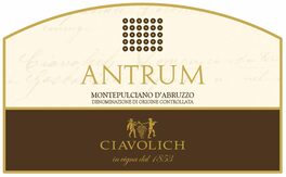 Antrum