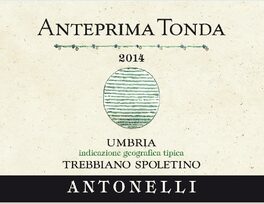 Anteprima