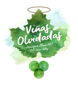 Vinas Olvidadas