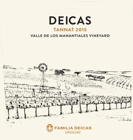Valle De Los Manantiales Vineyard