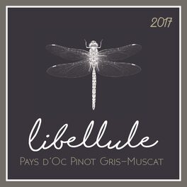 Libellule