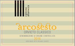 Arcocesto